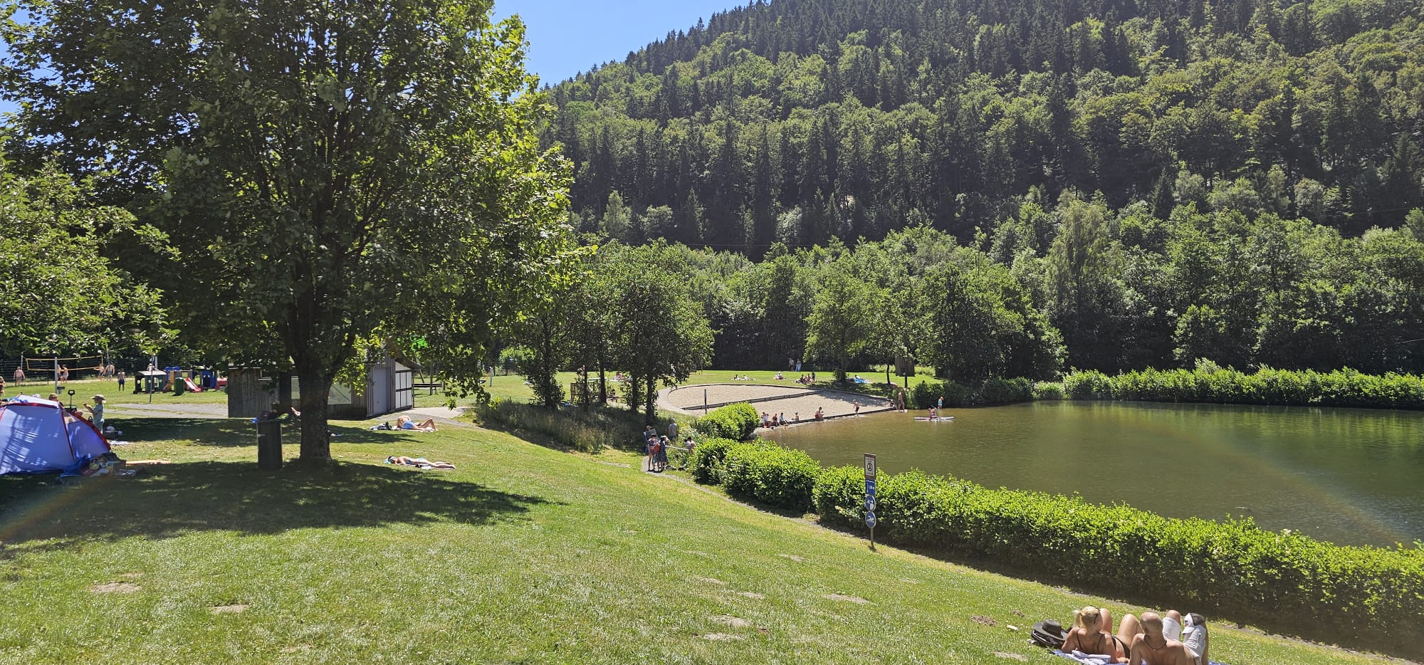 Ligweide aan de Hillebachsee